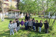 İnci Taneleri Anaokulu